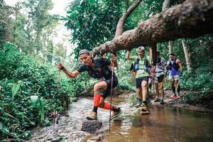 BIB: 
                            <button type="button" onclick="openModal(25368691)" class="btn btn-primary btn-sm float-right btn-popup" data-toggle="modal" data-target=".modal-high-quality">
                        <i class="fas fa-shopping-cart"></i> Add to Cart
                    </button>
                                            <button type="button" onclick="isThisMe(25368691, true)" class="btn btn-success btn-sm float-right btn-popup btn-isme hidden" data-toggle="tooltip" data-placement="bottom" title="นี่คือรูปของคุณใช่ไหม คลิกที่นี่เพื่อเอาเข้าอัลบั้ม">
                        <i class="fas fa-plus"></i> Add to album
                    </button>
                    <button type="button" onclick="isThisMe(25368691, false)" class="btn btn-warning btn-sm float-right btn-popup btn-isnotme hidden">
                        <i class="fas fa-ban"></i> Remove from album
                    </button>